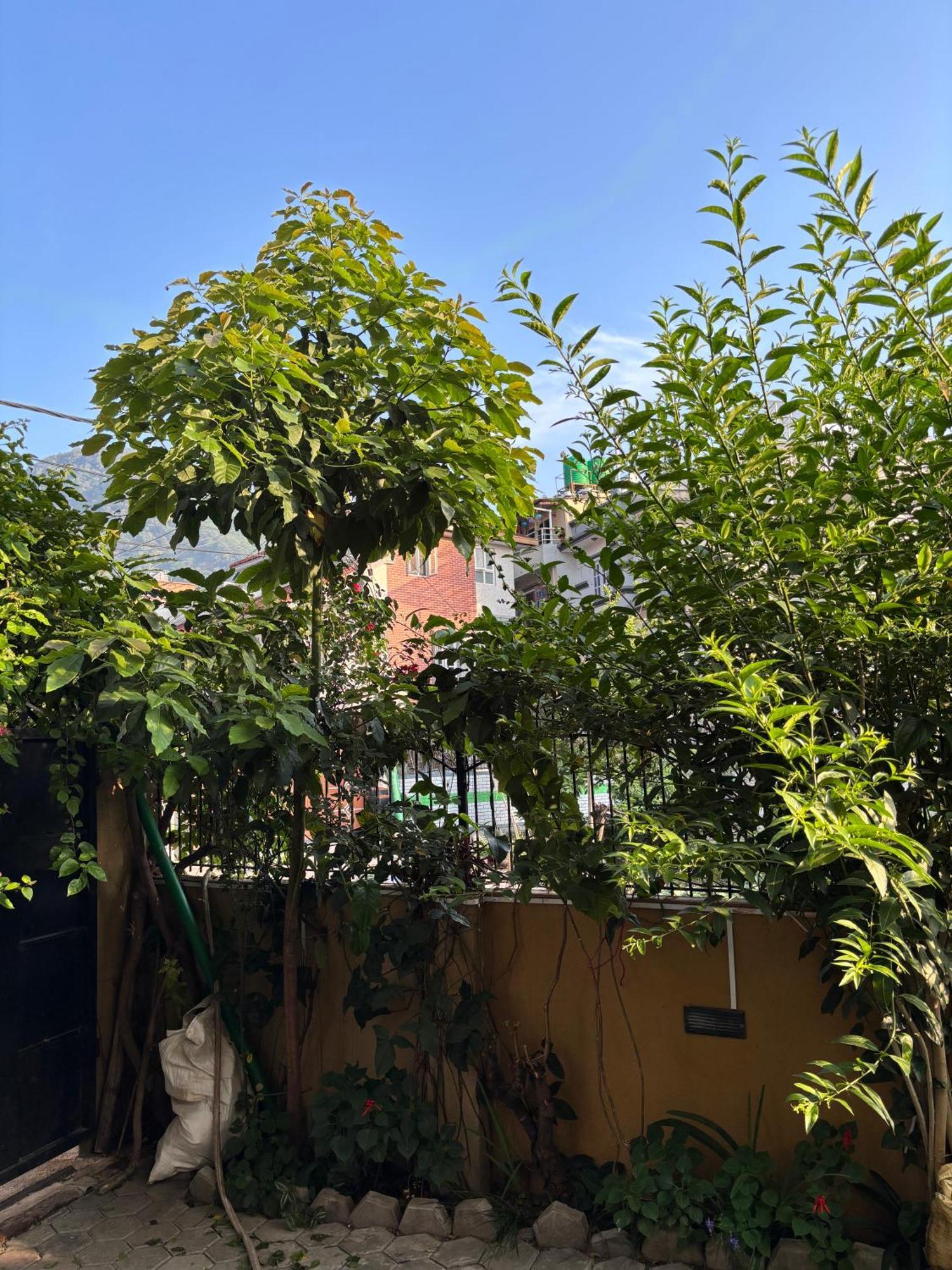 Mums Homestay & Studio Apartments Katmandu Zewnętrze zdjęcie
