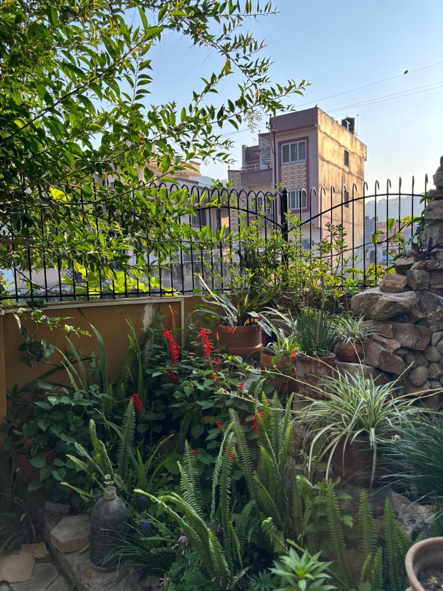 Mums Homestay & Studio Apartments Katmandu Zewnętrze zdjęcie